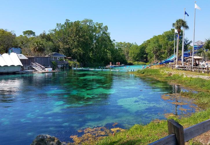 Weeki Wachee Springs State Park Florida State Parks